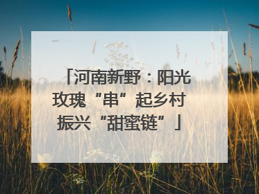 河南新野：阳光玫瑰“串”起乡村振兴“甜蜜链”
