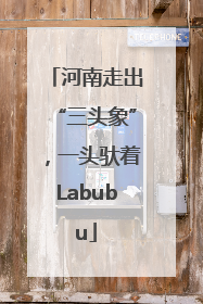 河南走出“三头象”，一头驮着Labubu