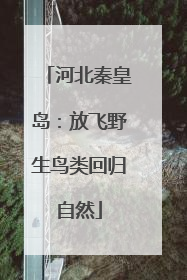 河北秦皇岛：放飞野生鸟类回归自然