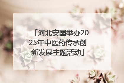 河北安国举办2025年中医药传承创新发展主题活动