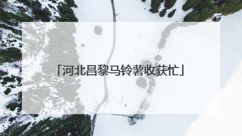 河北昌黎马铃薯收获忙