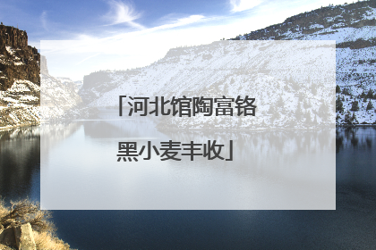 河北馆陶富铬黑小麦丰收