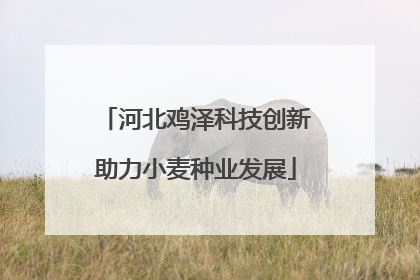 河北鸡泽科技创新助力小麦种业发展