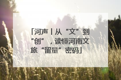 河声丨从“文”到“创”，读懂河南文旅“留量”密码