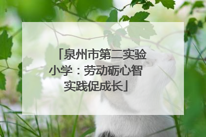 泉州市第二实验小学：劳动砺心智实践促成长