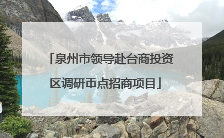 泉州市领导赴台商投资区调研重点招商项目
