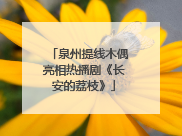 泉州提线木偶亮相热播剧《长安的荔枝》