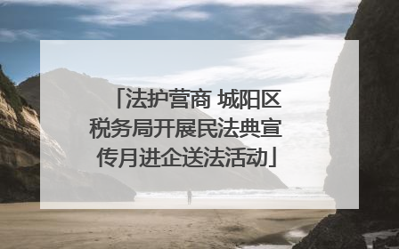 法护营商 城阳区税务局开展民法典宣传月进企送法活动