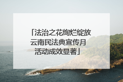 法治之花绚烂绽放 云南民法典宣传月活动成效显著