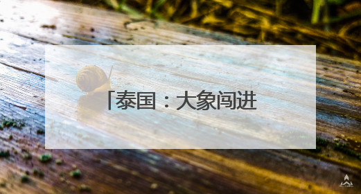 泰国：大象闯进便利店吃零食