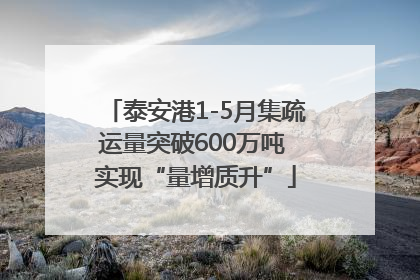 泰安港1-5月集疏运量突破600万吨 实现“量增质升”