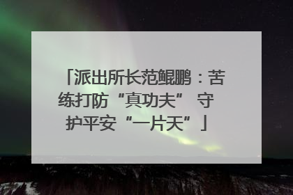 派出所长范鲲鹏：苦练打防“真功夫” 守护平安“一片天”