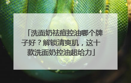洗面奶祛痘控油哪个牌子好？解锁清爽肌，这十款洗面奶控油超给力