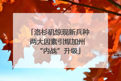 洛杉矶惊现新兵种 两大因素引爆加州“内战”升级