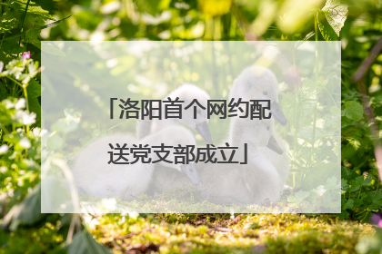 洛阳首个网约配送党支部成立