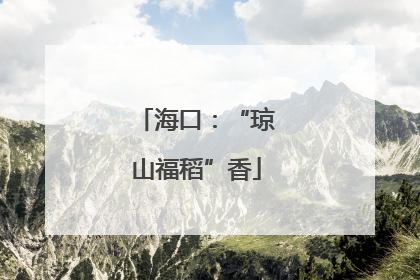 海口：“琼山福稻”香