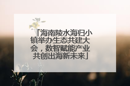 海南陵水海归小镇举办生态共建大会，数智赋能产业共创出海新未来