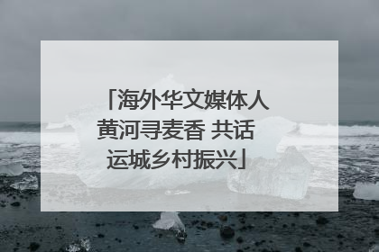 海外华文媒体人黄河寻麦香 共话运城乡村振兴