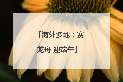 海外多地：赛龙舟 迎端午