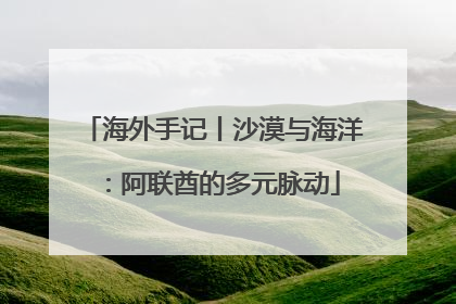 海外手记丨沙漠与海洋：阿联酋的多元脉动