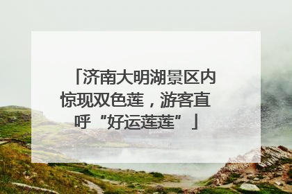 济南大明湖景区内惊现双色莲，游客直呼“好运莲莲”