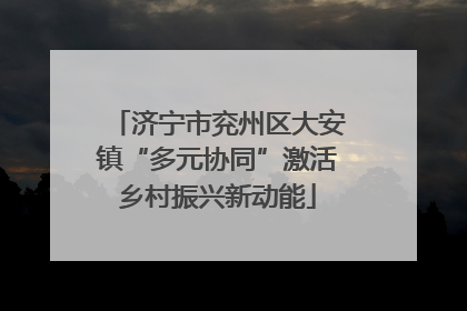 济宁市兖州区大安镇“多元协同”激活乡村振兴新动能