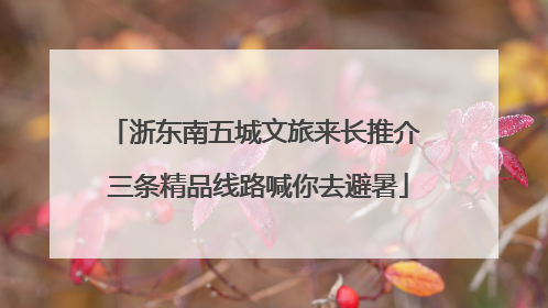 浙东南五城文旅来长推介 三条精品线路喊你去避暑
