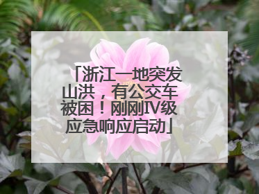浙江一地突发山洪，有公交车被困！刚刚Ⅳ级应急响应启动