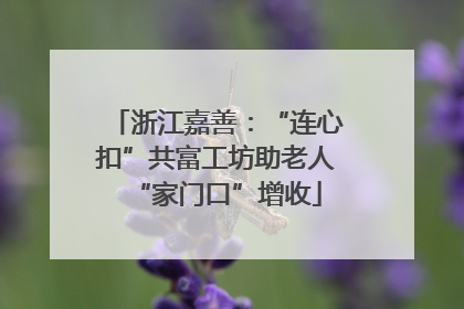 浙江嘉善：“连心扣”共富工坊助老人“家门口”增收