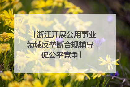 浙江开展公用事业领域反垄断合规辅导 促公平竞争