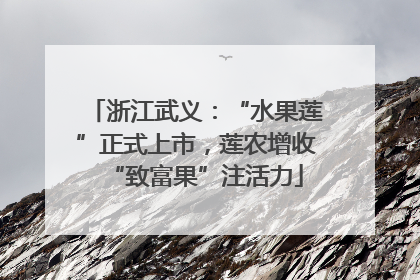 浙江武义：“水果莲”正式上市，莲农增收“致富果”注活力