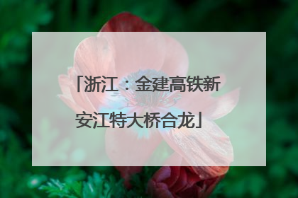 浙江：金建高铁新安江特大桥合龙