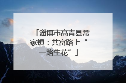 淄博市高青县常家镇：共富路上“一路生花”