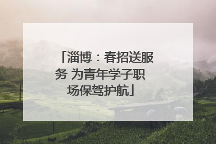 淄博：春招送服务 为青年学子职场保驾护航