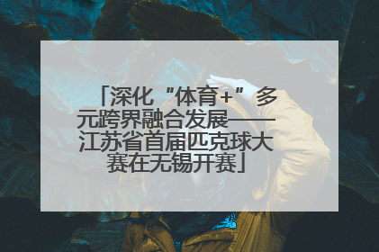 深化“体育+”多元跨界融合发展——江苏省首届匹克球大赛在无锡开赛