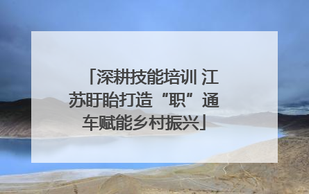 深耕技能培训 江苏盱眙打造“职”通车赋能乡村振兴