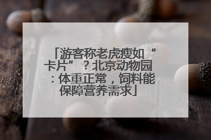 游客称老虎瘦如“卡片”？北京动物园：体重正常，饲料能保障营养需求