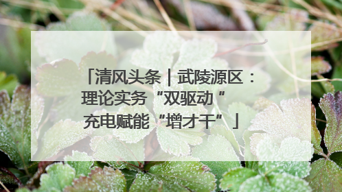 清风头条｜武陵源区：理论实务“双驱动 ” 充电赋能“增才干”