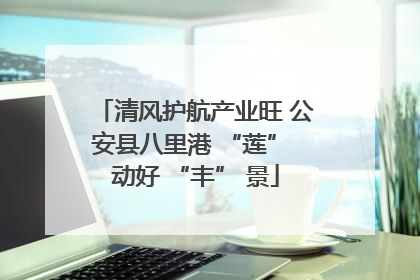 清风护航产业旺 公安县八里港 “莲” 动好 “丰” 景