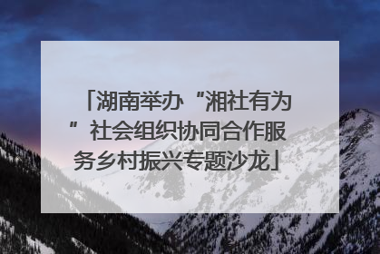 湖南举办“湘社有为”社会组织协同合作服务乡村振兴专题沙龙