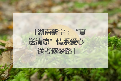 湖南新宁：“夏送清凉”情系爱心送考逐梦路