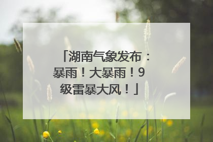 湖南气象发布：暴雨！大暴雨！9级雷暴大风！