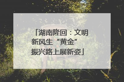 湖南隆回：文明新风生“黄金” 振兴路上展新姿