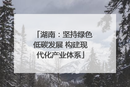 湖南：坚持绿色低碳发展 构建现代化产业体系