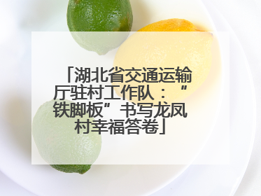 湖北省交通运输厅驻村工作队：“铁脚板”书写龙凤村幸福答卷