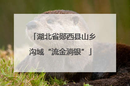 湖北省郧西县山乡沟域“流金淌银”