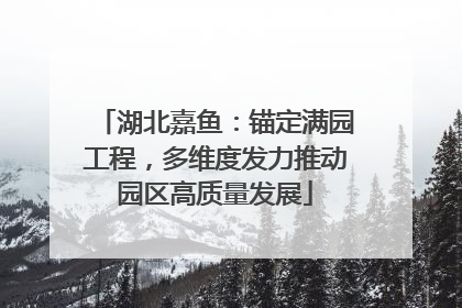 湖北嘉鱼：锚定满园工程，多维度发力推动园区高质量发展
