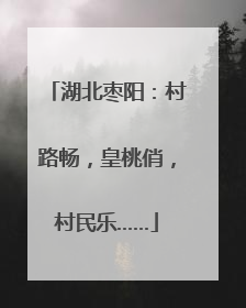 湖北枣阳：村路畅，皇桃俏，村民乐……