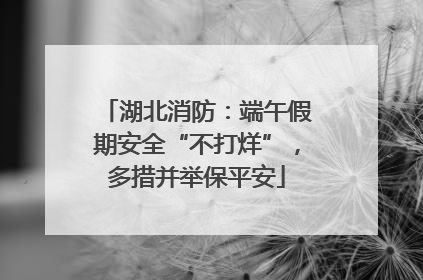 湖北消防：端午假期安全“不打烊”，多措并举保平安