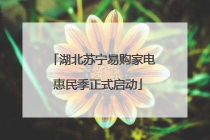 湖北苏宁易购家电惠民季正式启动